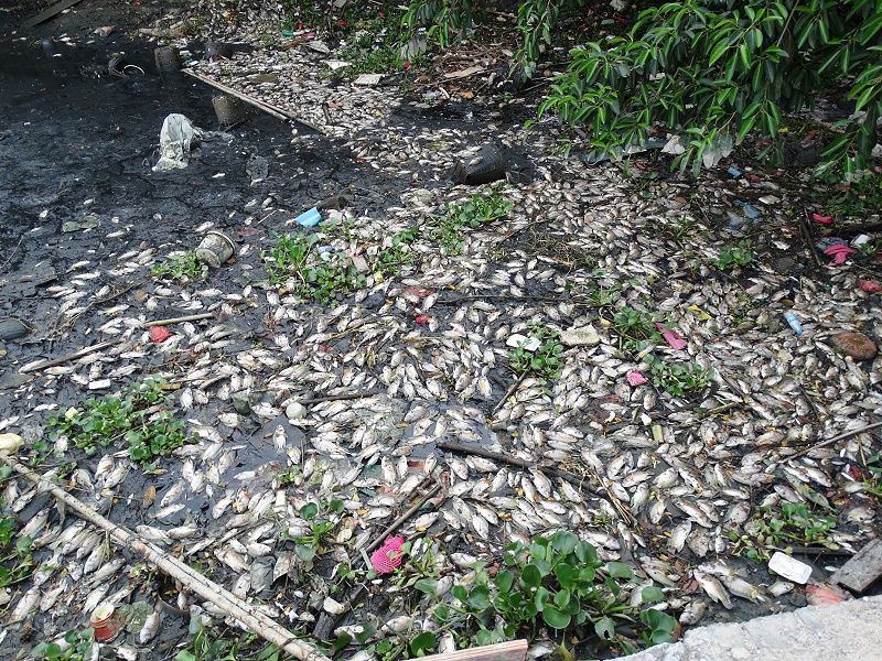 移動式水處理設(shè)備