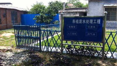 養(yǎng)豬廢水處理中總磷如何有效去除