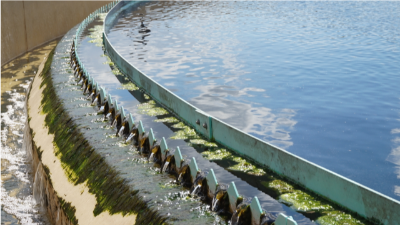 紙漿漂白污水處理設備