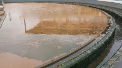 污泥解體了怎么辦？有什么應對措施？