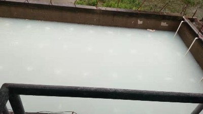 【三人行小課堂】造紙廢水哪些處理方法呢？