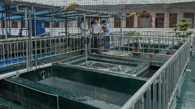 防染鹽廢水如何處理？