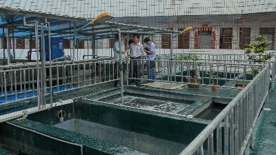 傳統(tǒng)線路板廢水處理工藝存在的致命缺點